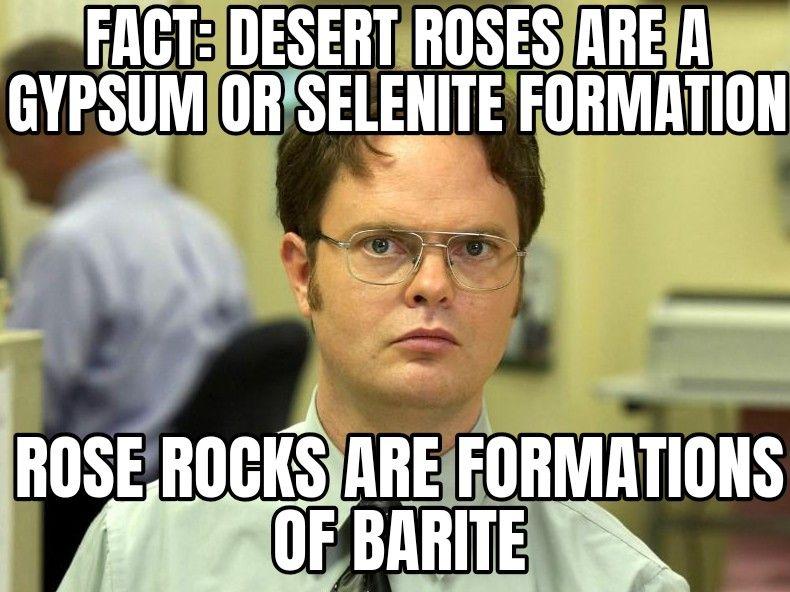 Man wearing glasses with text overlay about desert roses and rose rocks formations.