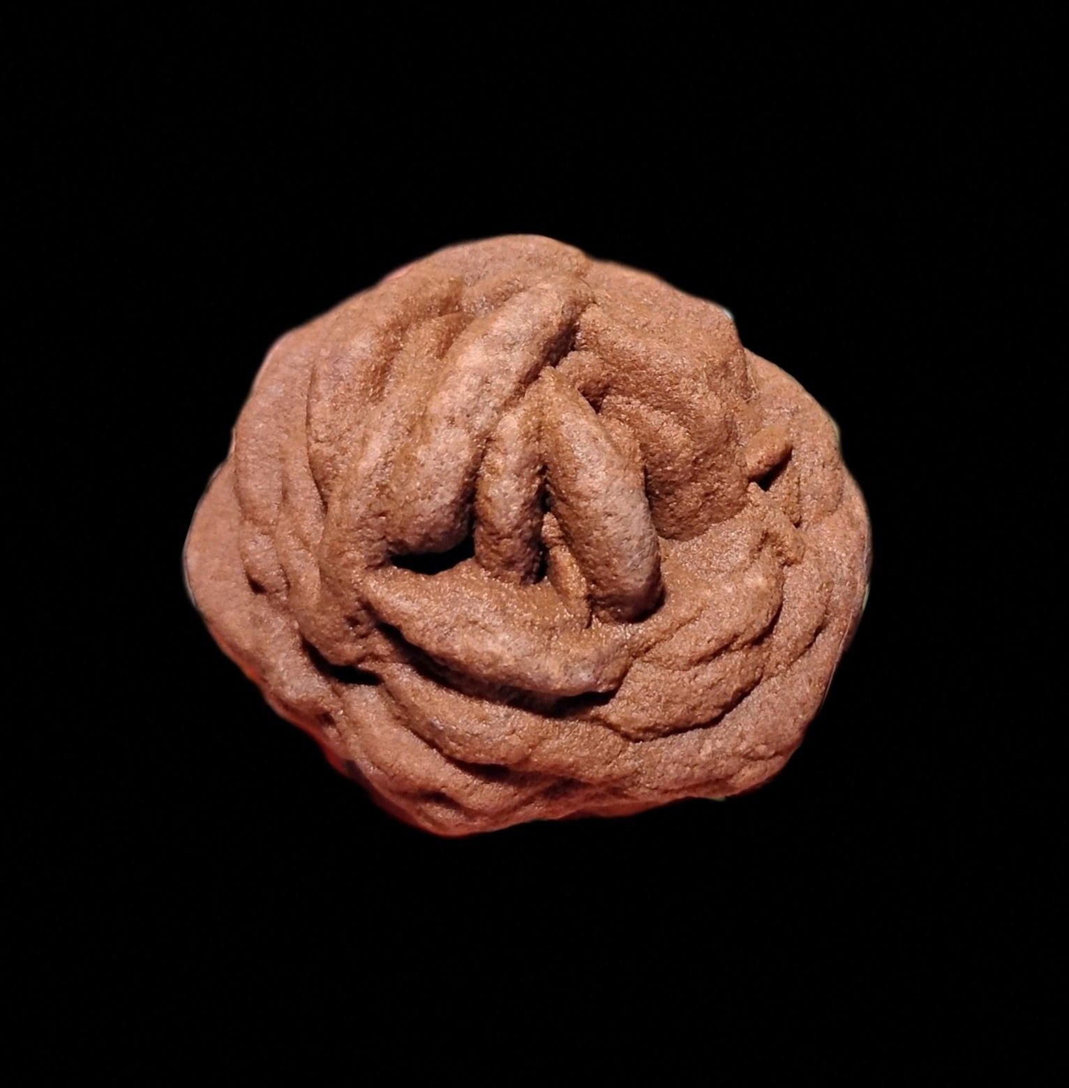 Brownish red rose shaped rock against a black background.