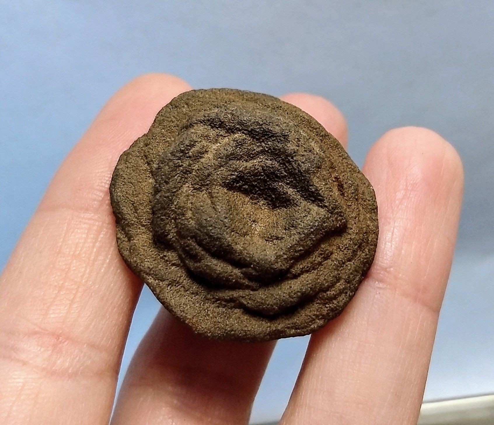 A black baryte rose held by 3 fingers against a blue background